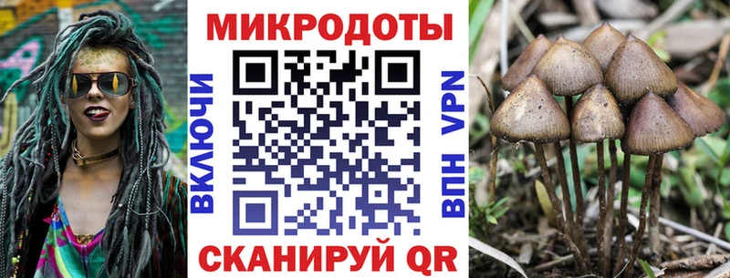 цена наркотик Игра ОМГ ОМГ сайт Псилоцибиновые грибы Magic Shrooms